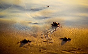 Great Expectations by Fernando Messino Licensed Creative Commons